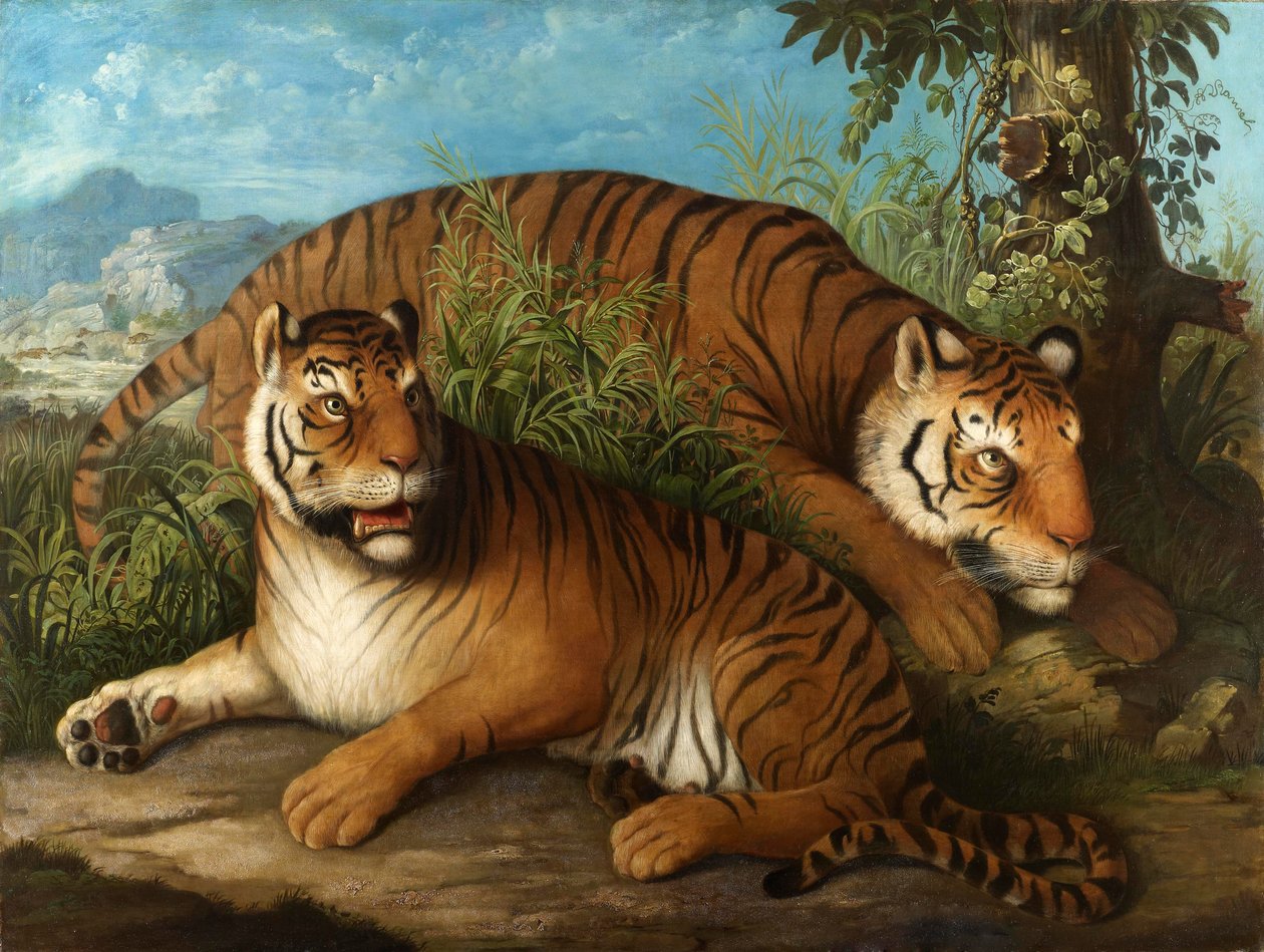 Royal Bengal Tigers by Johan Wenzel Peter