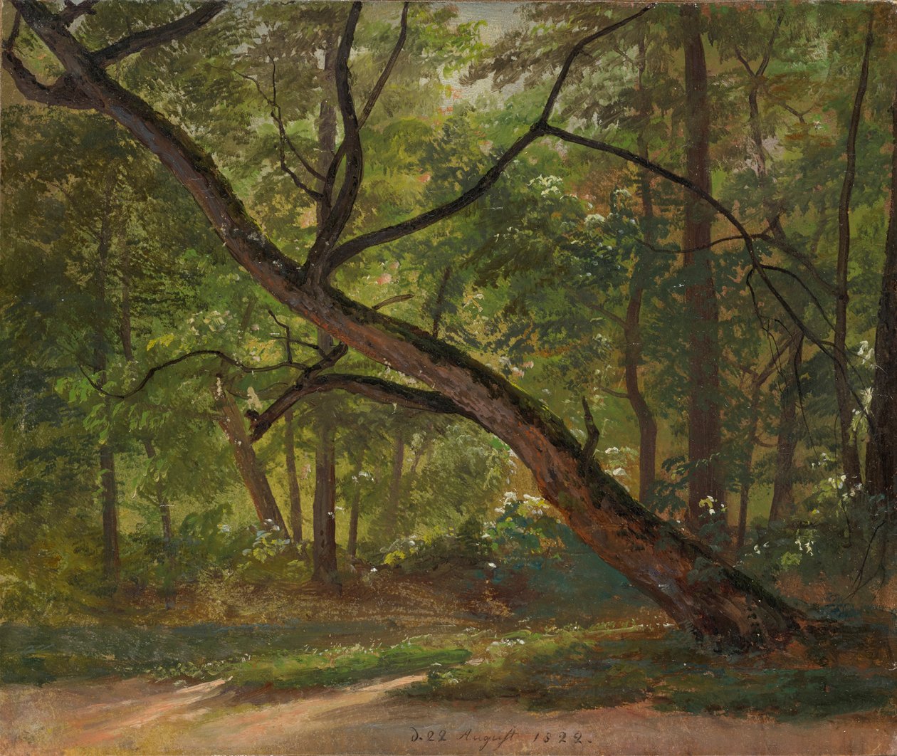 Scene in the Great Garden near Dresden by Johan Christian Dahl