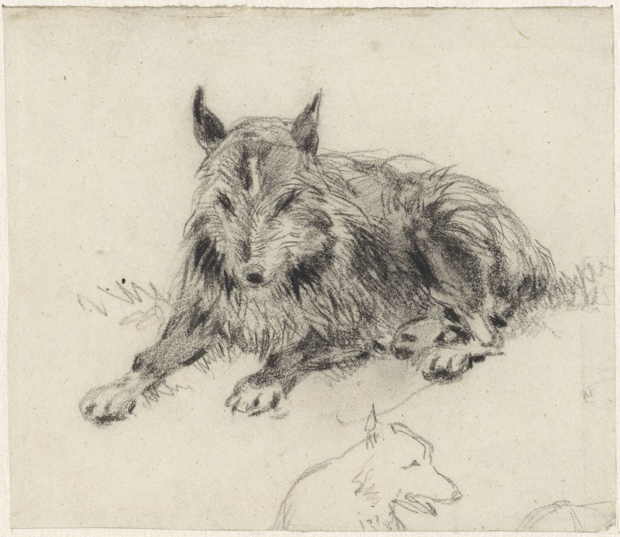 Lying Shepherd Dog by Johan Daniël Koelman