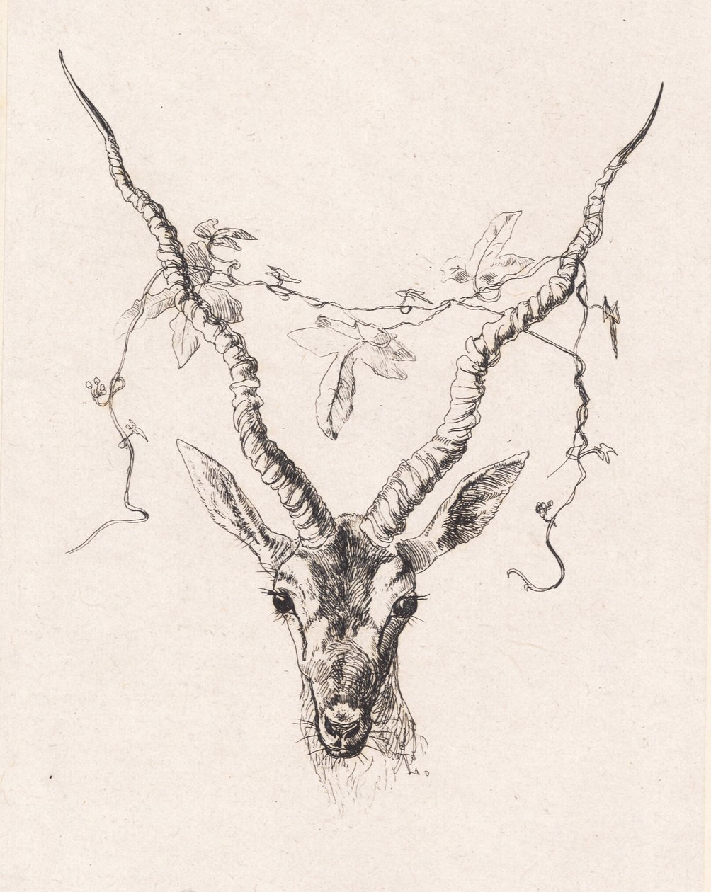 Antelope Head by Johan Lundbye