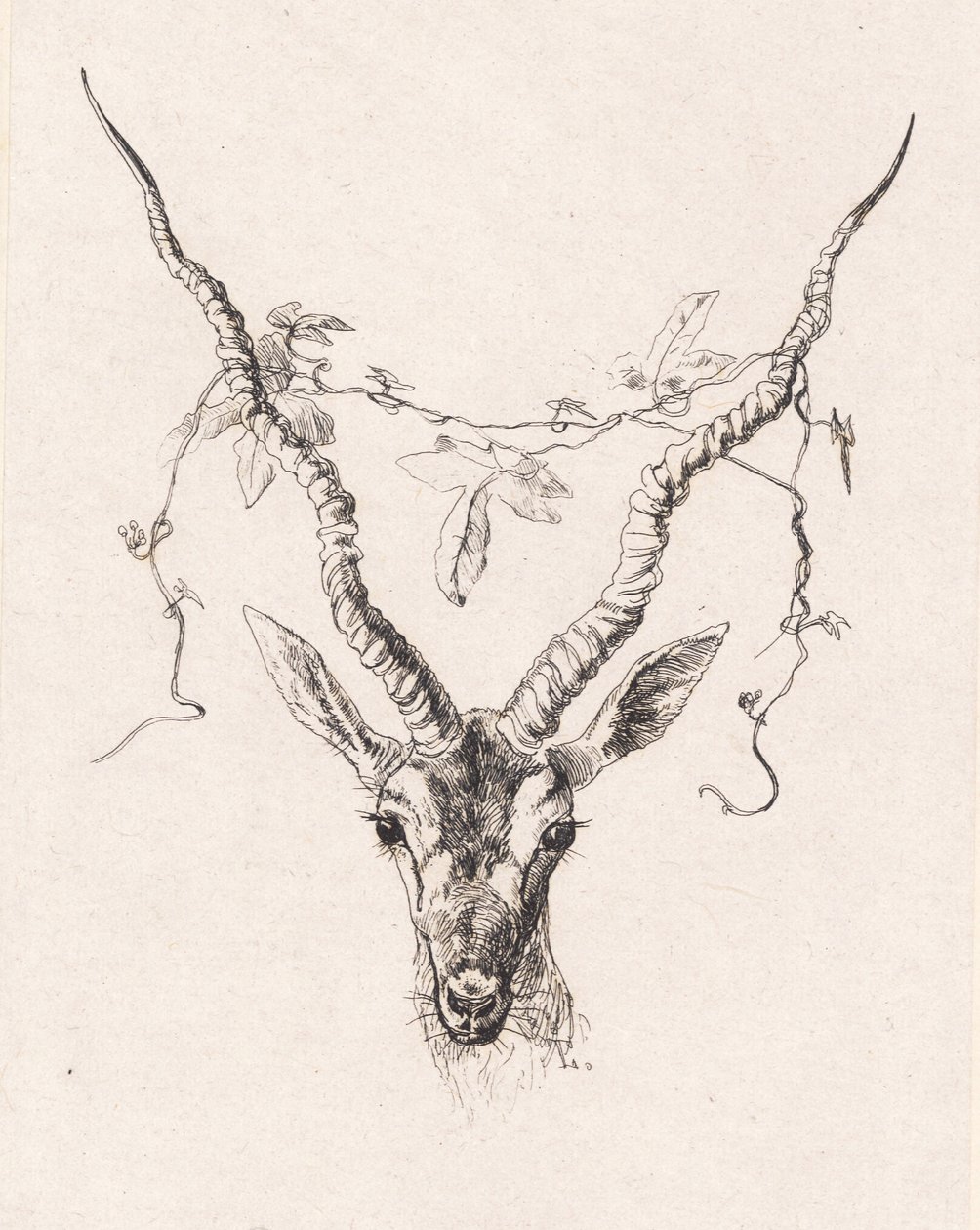 Antelope Head by Johan Thomas Lundbye