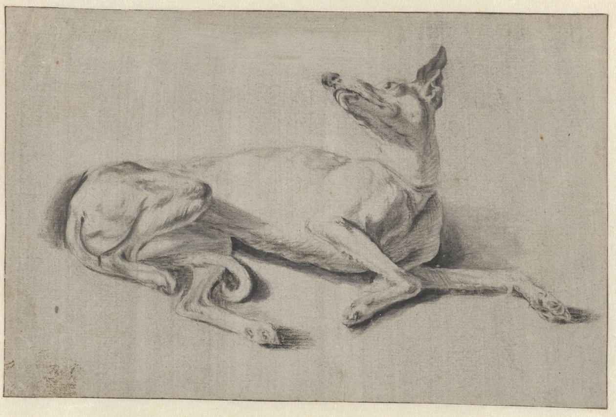 Lying Greyhound by Johan le Ducq (possibly)