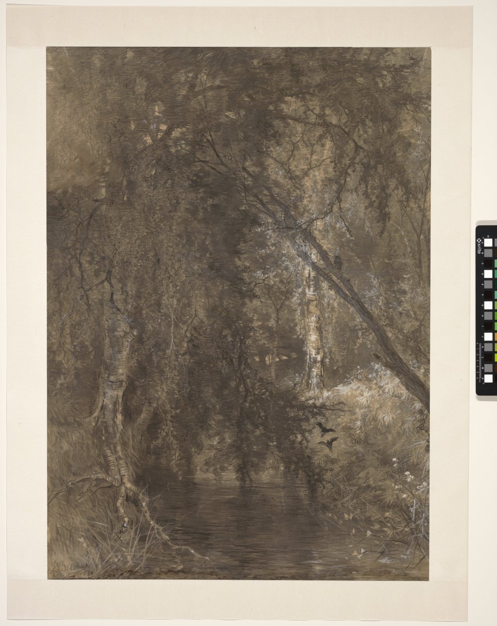 View in the Woods with a Small Water, near Wolfheze, Netherlands by Johannes Warnardus Bilders