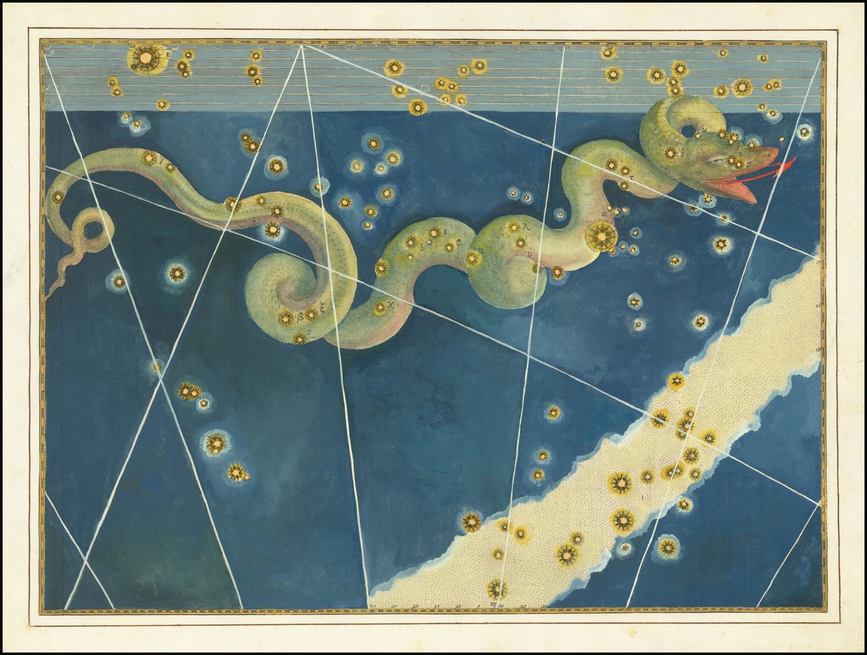 Hydra by Johann Bayer