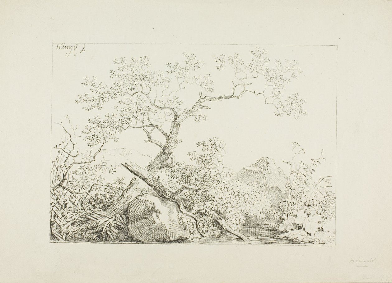 Trees and Rocks by Water by Johann Christian Klengel