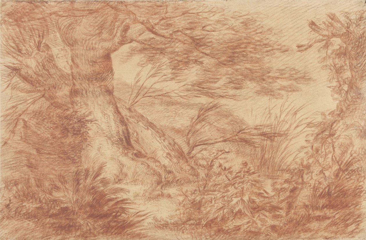 Plants and Grasses by Old Willow Trunks by Johann Elias Ridinger