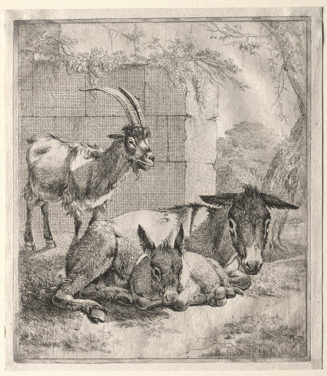 Goat and Donkeys by Johann Heinrich Roos