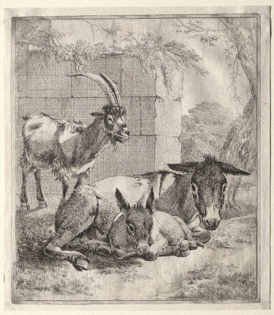 Goat and Donkeys by Johann Heinrich Roos