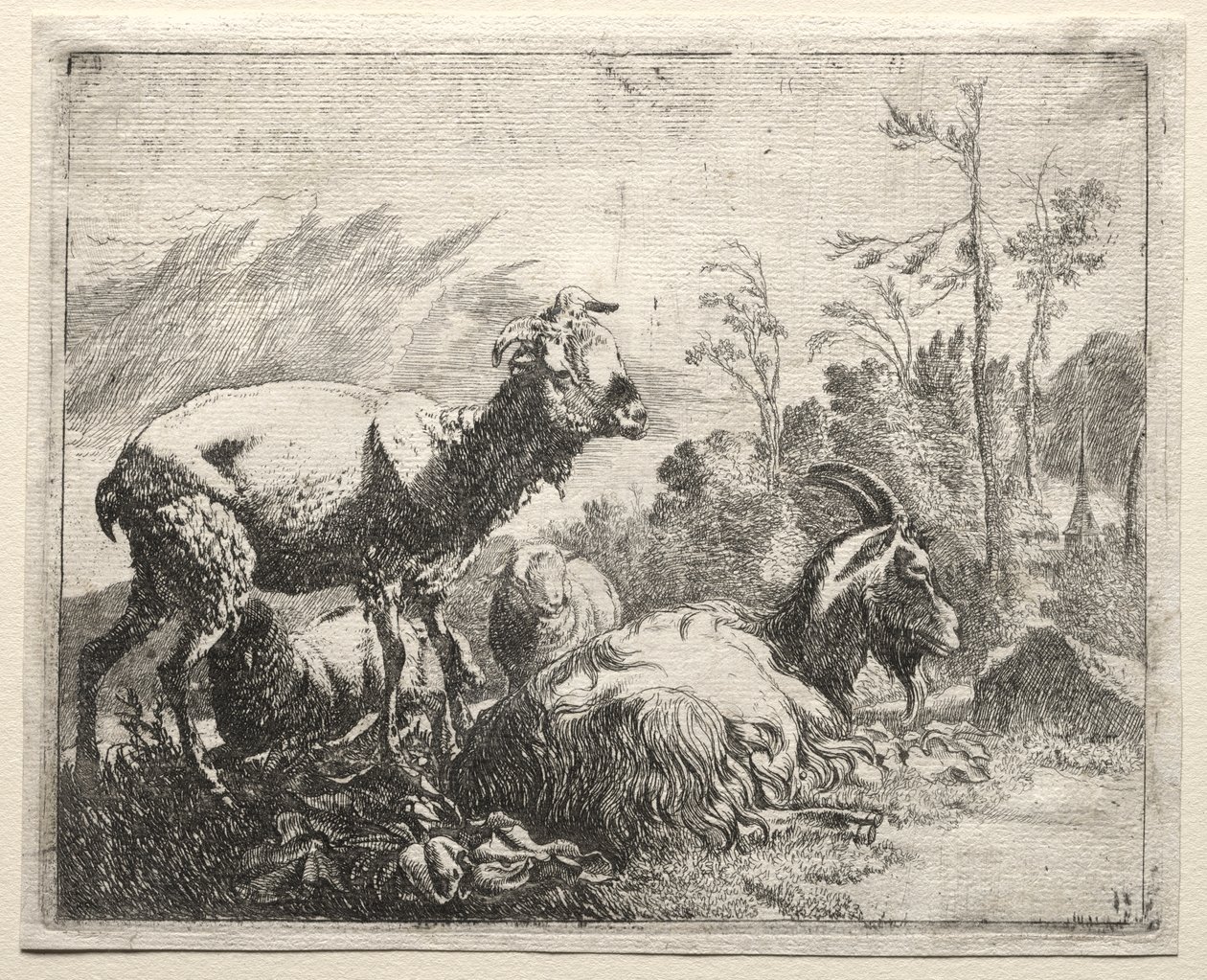 Goats by Johann Heinrich Roos