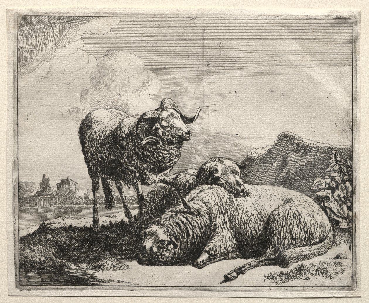 Ram and Two Sheep by Johann Heinrich Roos