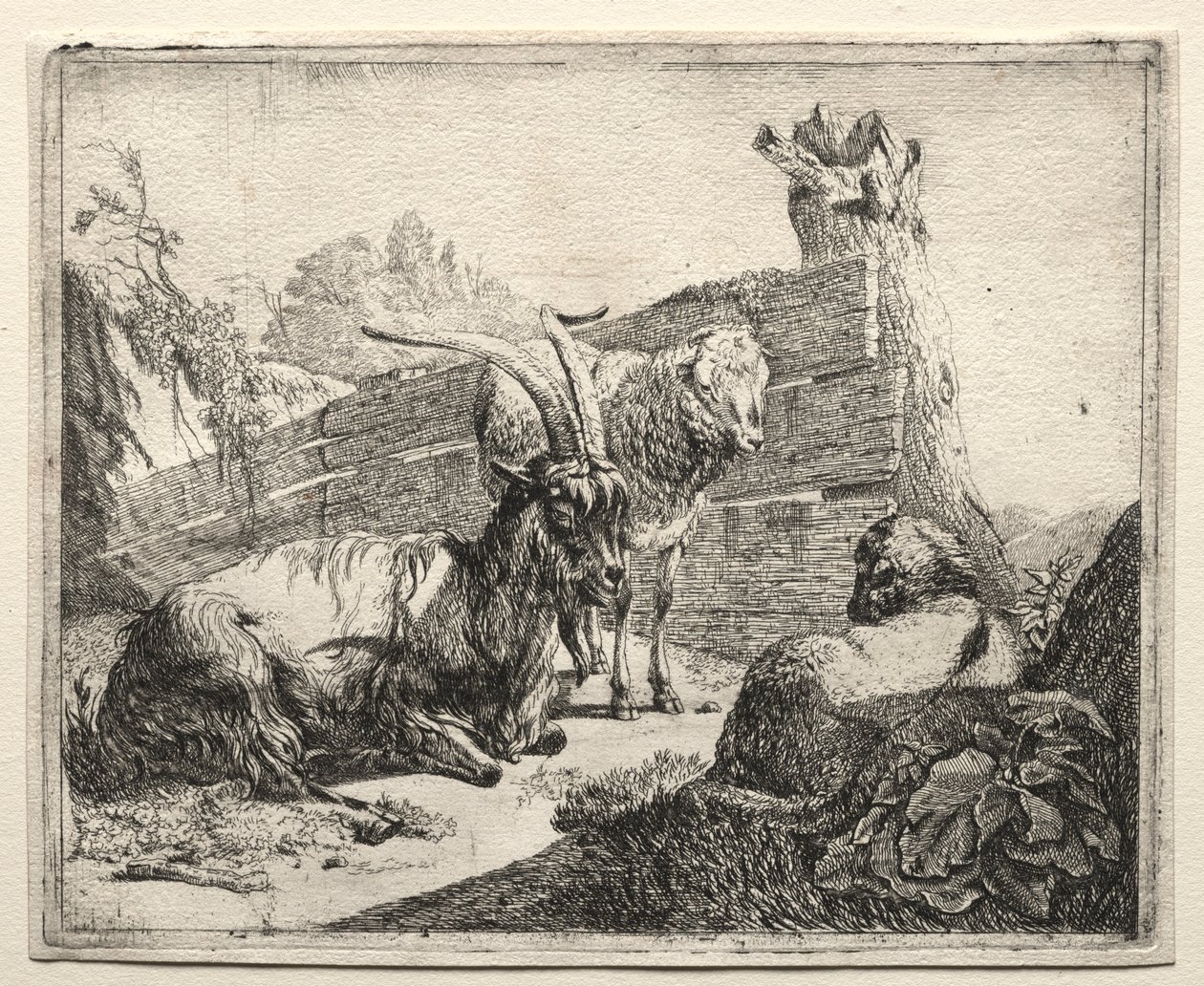 The Hedgerow by Johann Heinrich Roos
