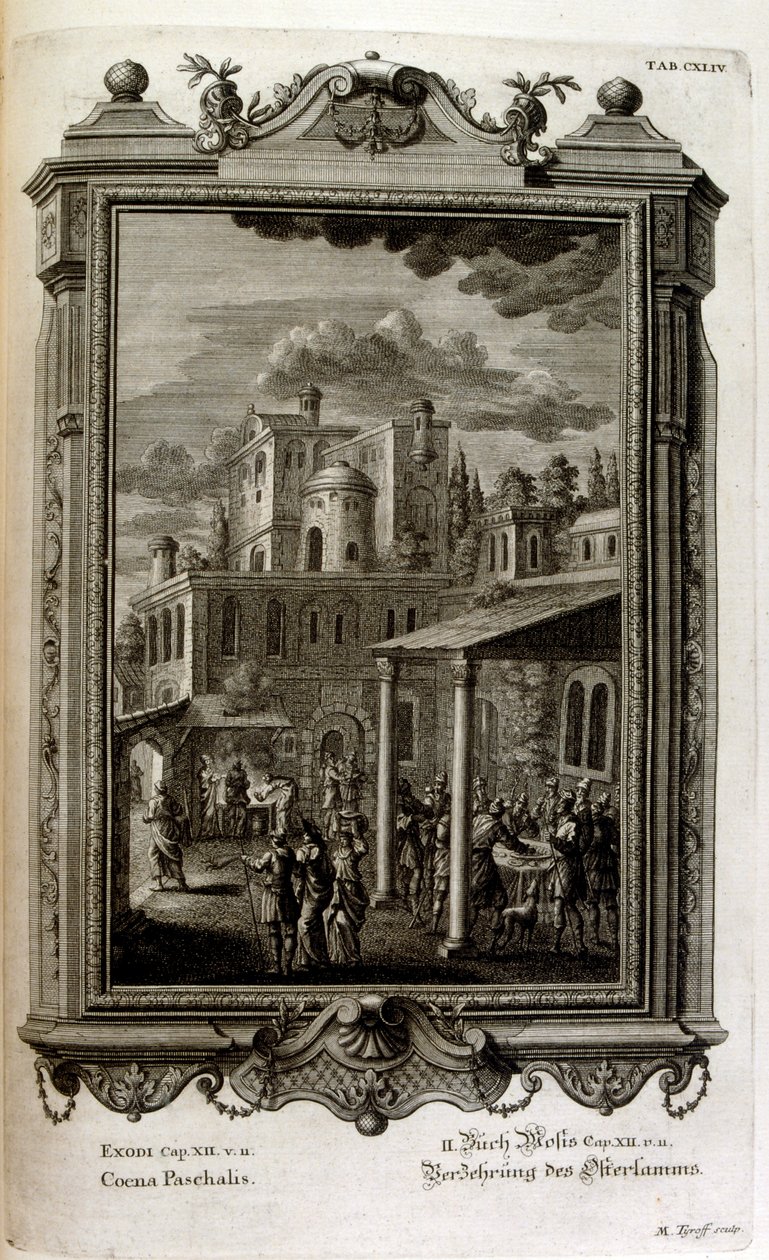 Illustration by Johann Jakob Scheuchzer