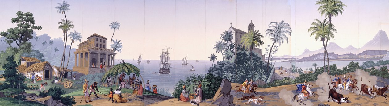 Views of Brazil by Johann Moritz Rugendas