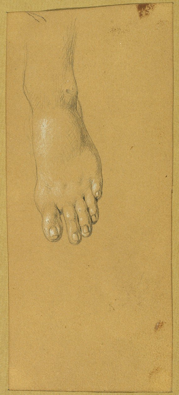 Foot Study for 