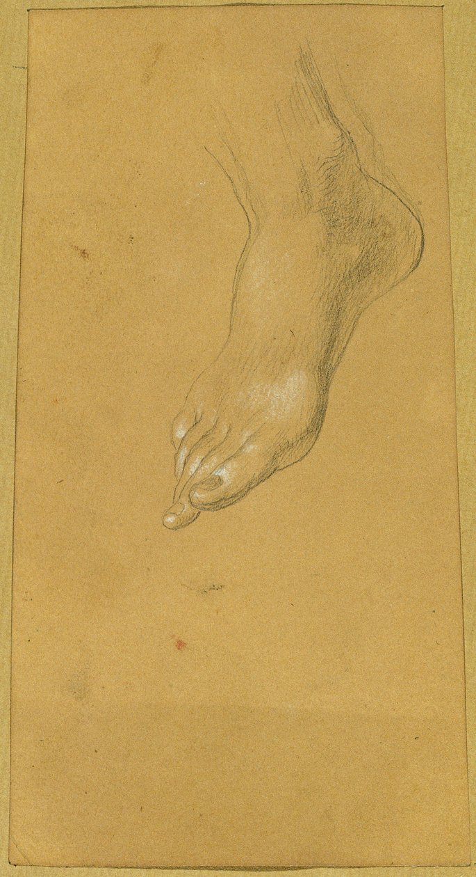 Foot Study for 