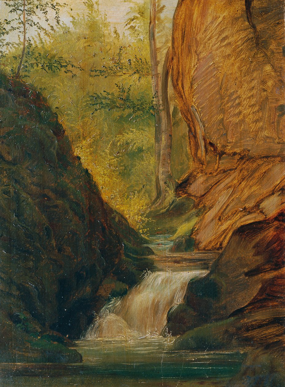 Forest Stream by Johann  Till der Jüngere