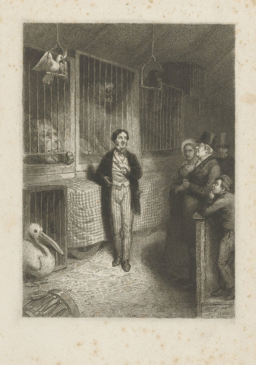 Animals Watching by Johann Wilhelm Kaiser (I)