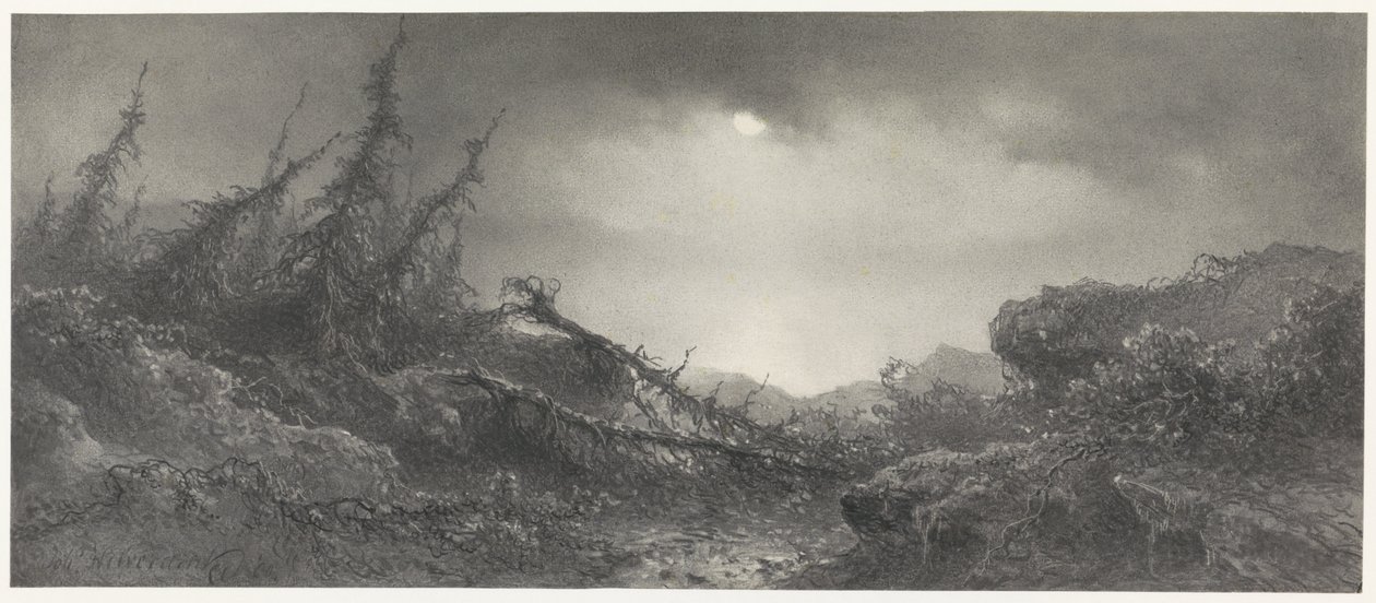 After the Storm by Johannes Hilverdink
