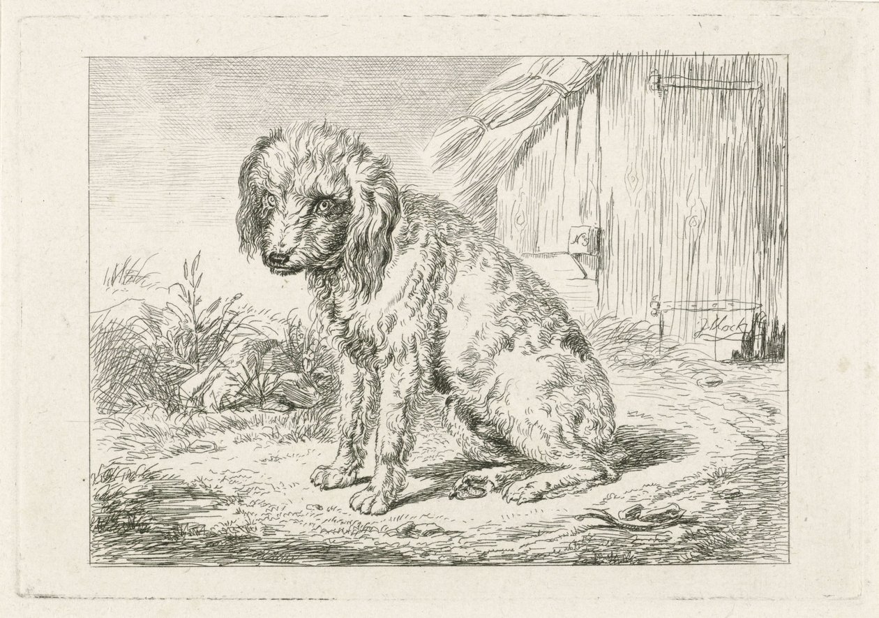 Seated Dog by a Barn by Johannes Mock