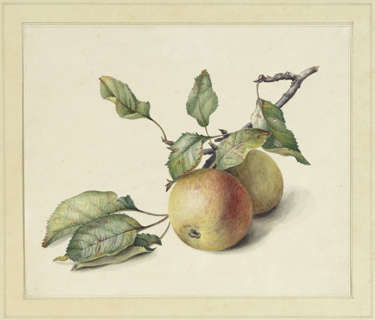 Two apples on a branch by Johannes Reekers (II)