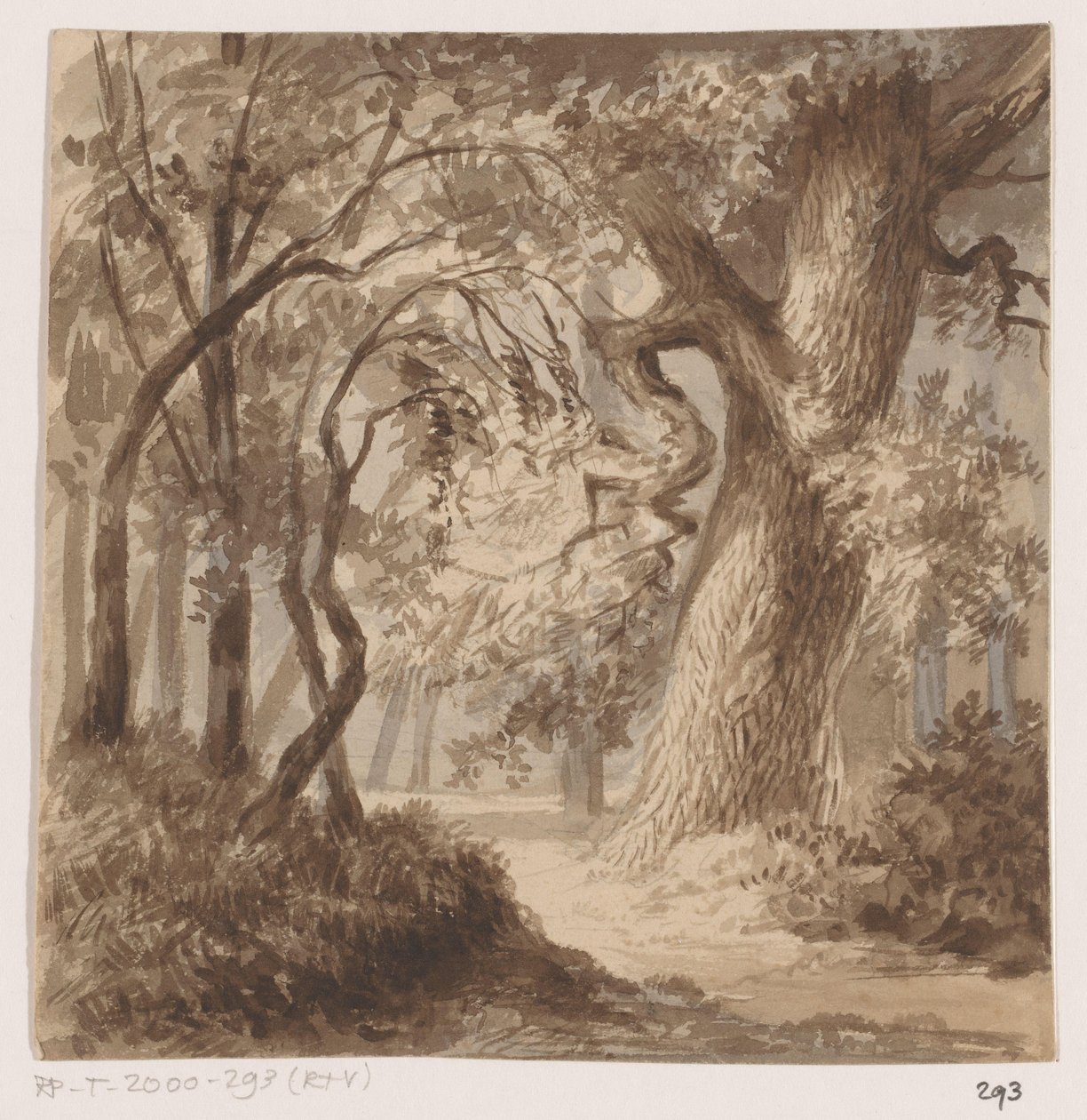Forest Landscape by Johannes Tavenraat