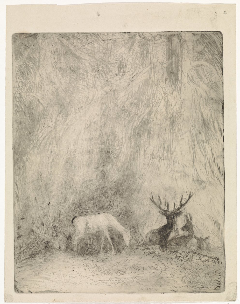 Deer in a Bohemian Forest by Johannes Tavenraat