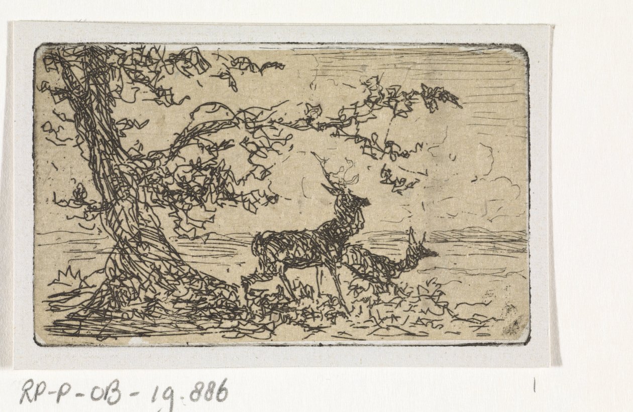 Two Deer Under a Tree by Johannes Tavenraat