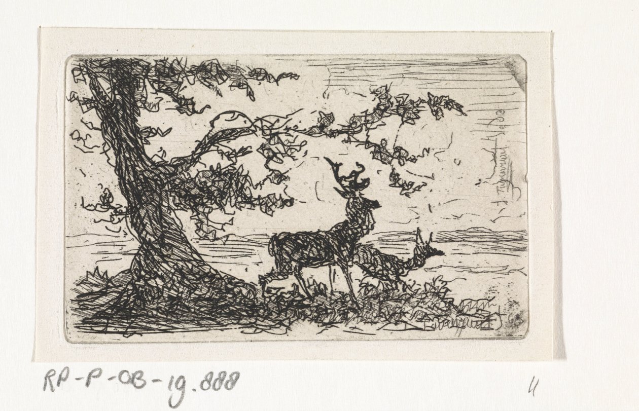 Two Deer Under a Tree by Johannes Tavenraat