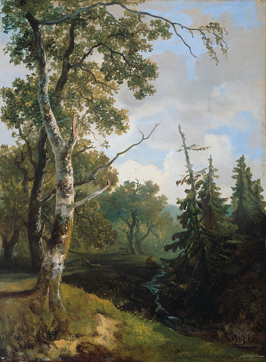 Forest View near Wolfheze by Johannes Warnardus Bilders