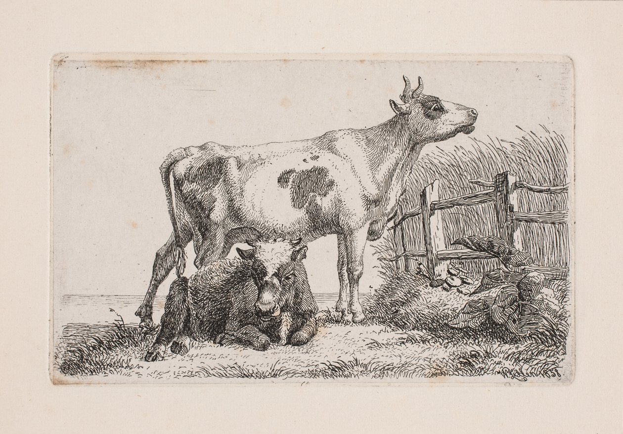 A Resting and a Standing Cow by Johannes Wilhelm Zillen