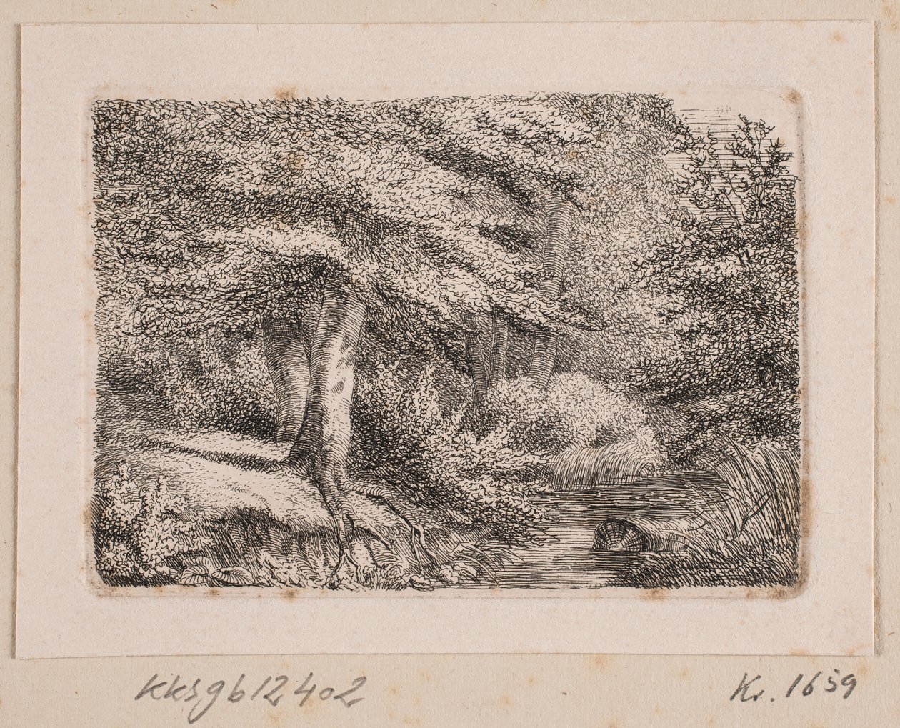 Forest Scene by Johannes Wilhelm Zillen