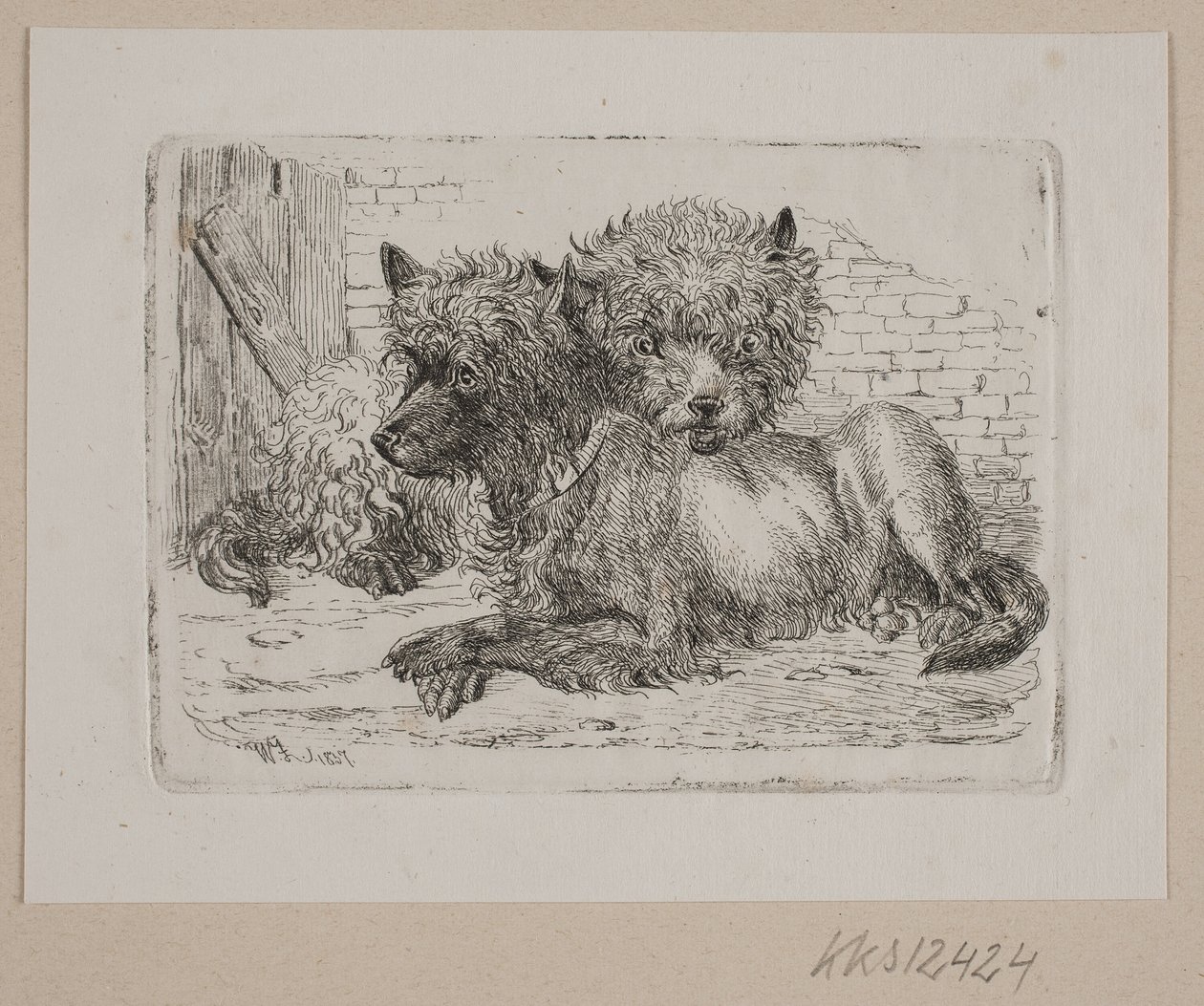 Two Lying Dogs by Johannes Wilhelm Zillen