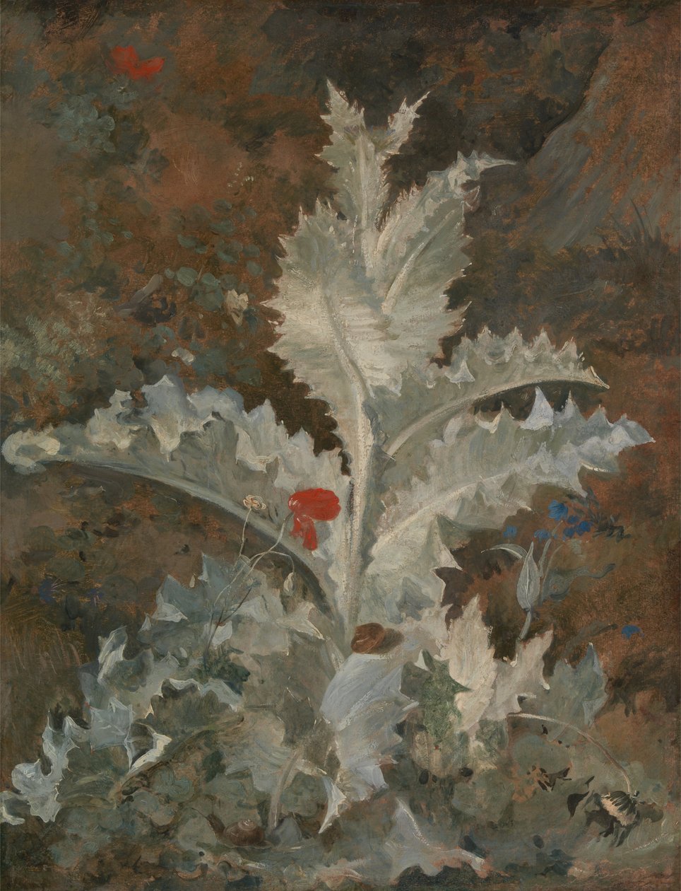 A Thistle by John Crome