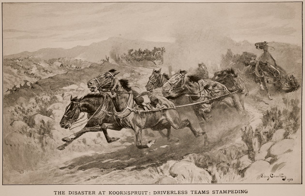 The Disaster at Koornspruit: Driverless Teams Stampeding by John Charlton
