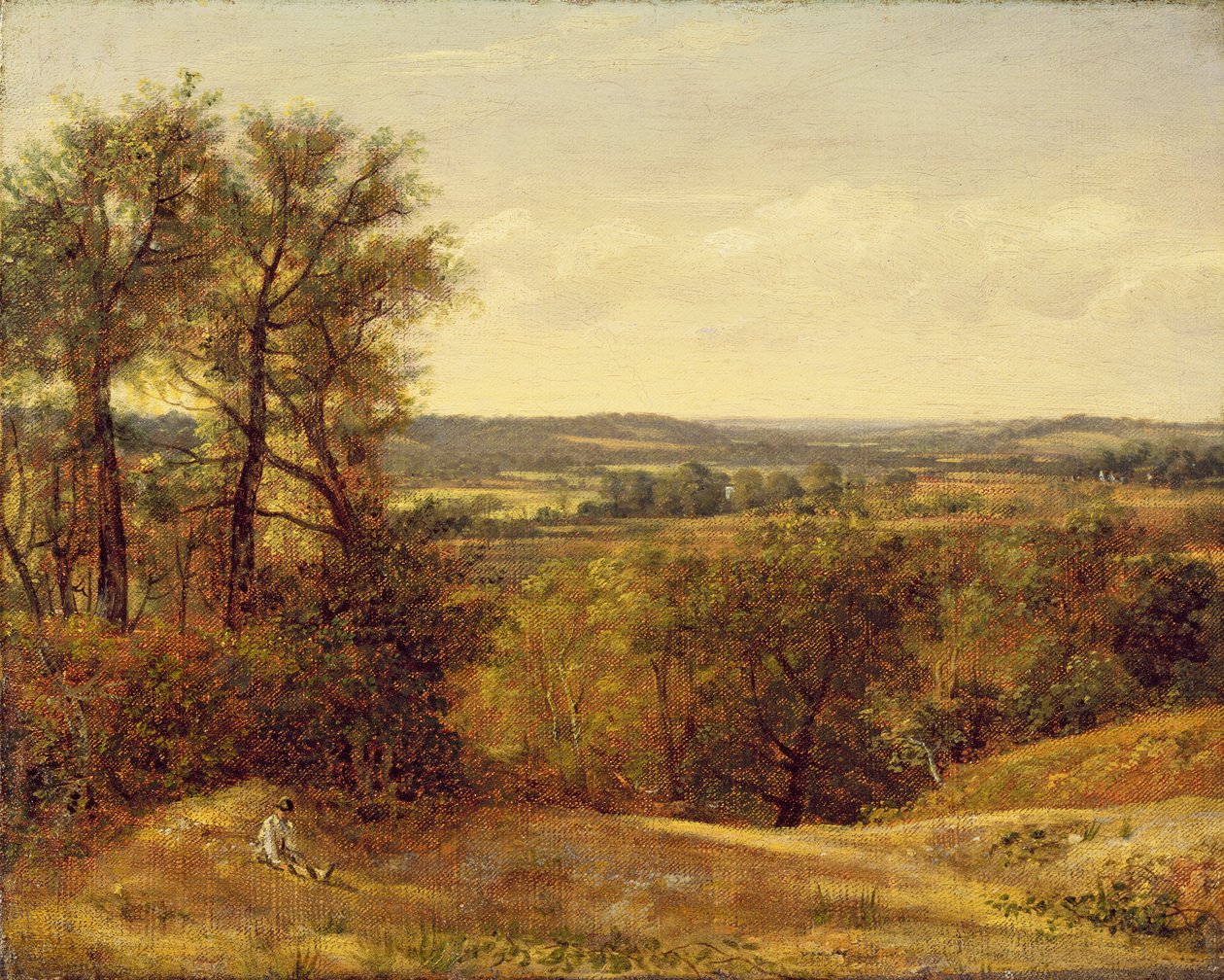 Dedham Vale by John Constable