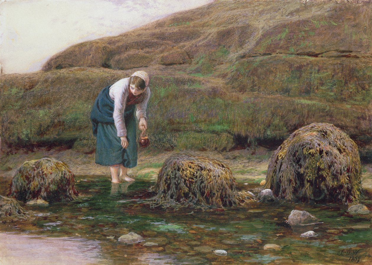The Winkle Gatherer by John Dawson Watson