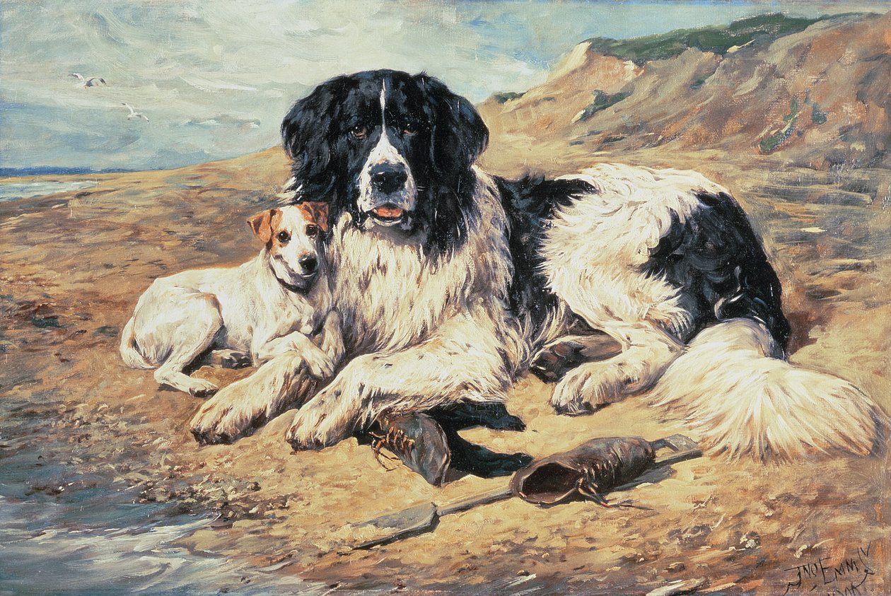 Dogs Watching Bathers, 1900 by John Emms