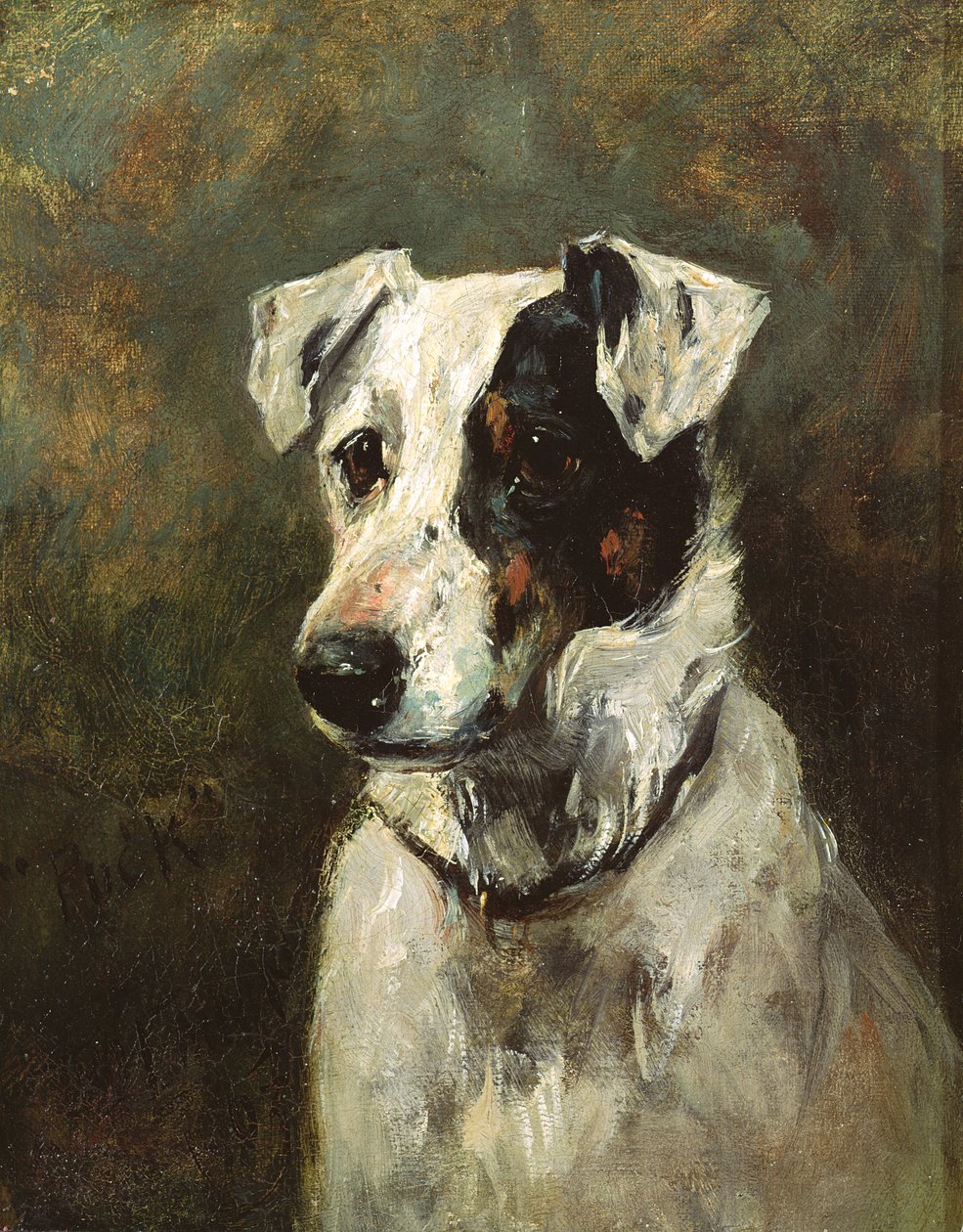 Puck by John Emms