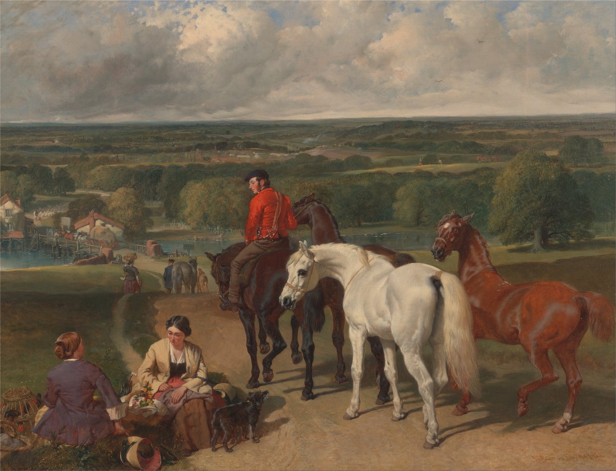 Exercising the Royal Horses by John F. Herring