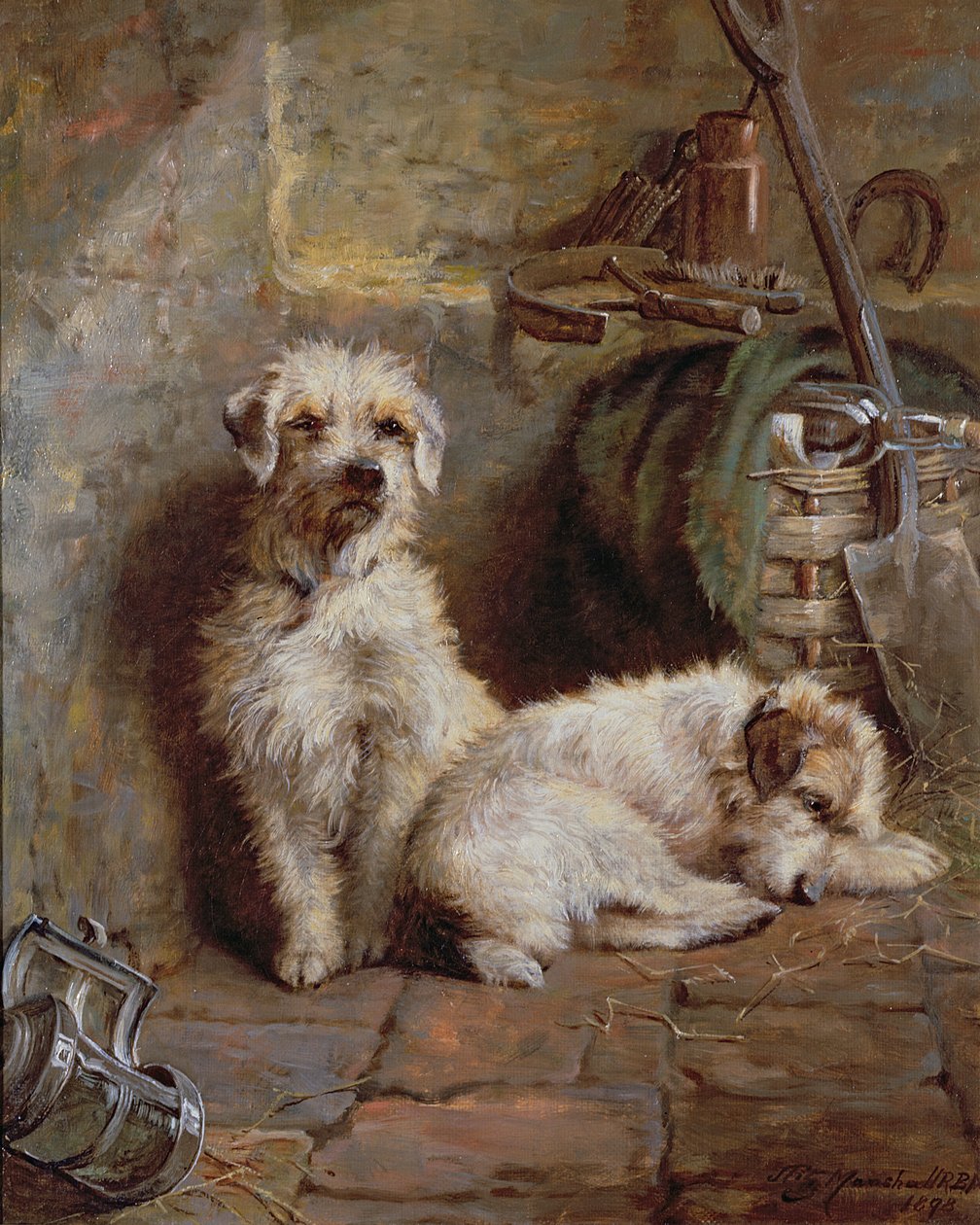 Stablemates by John Fitz Marshall