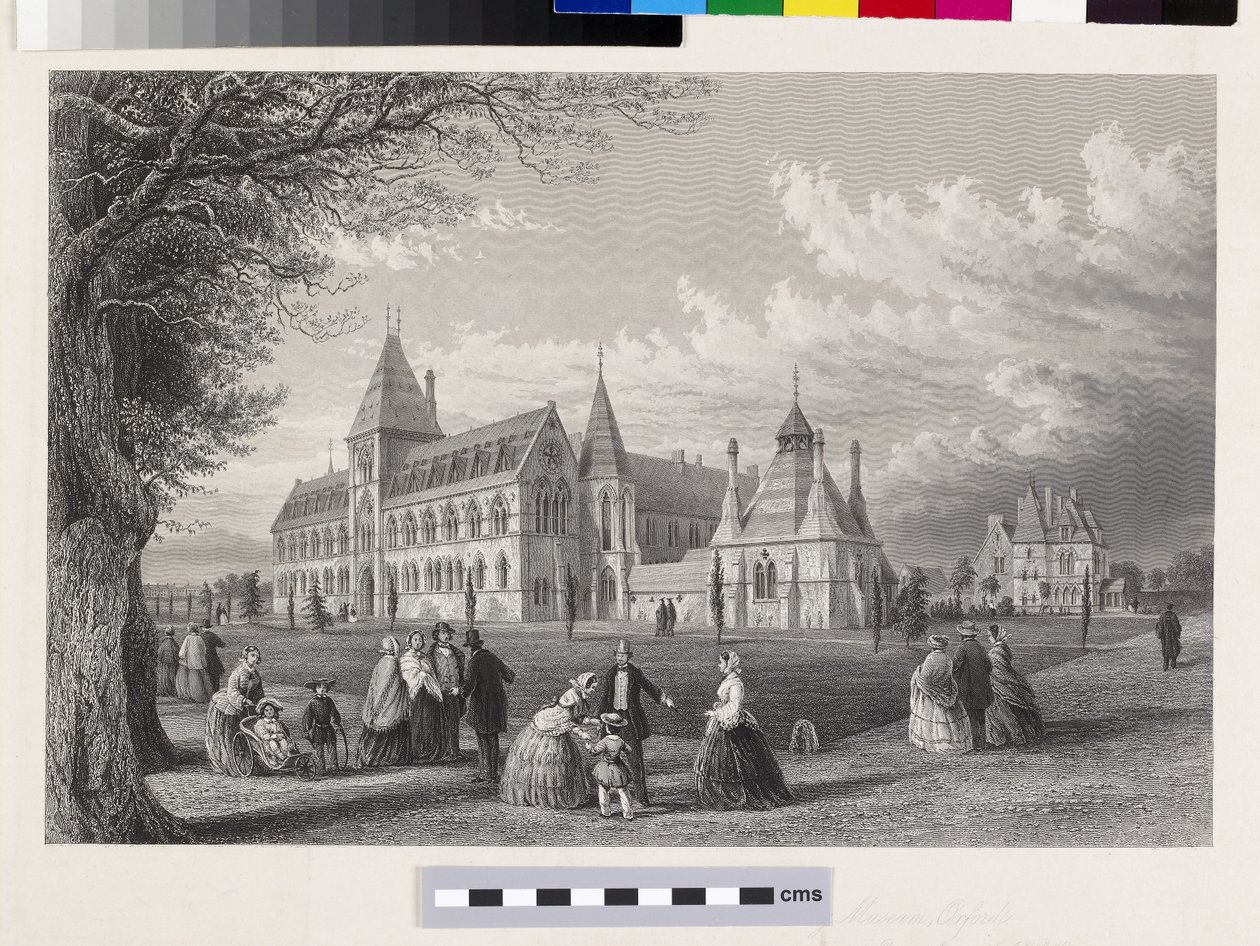 The University Museum: Oxford Almanack for 1860 by John Le Keux
