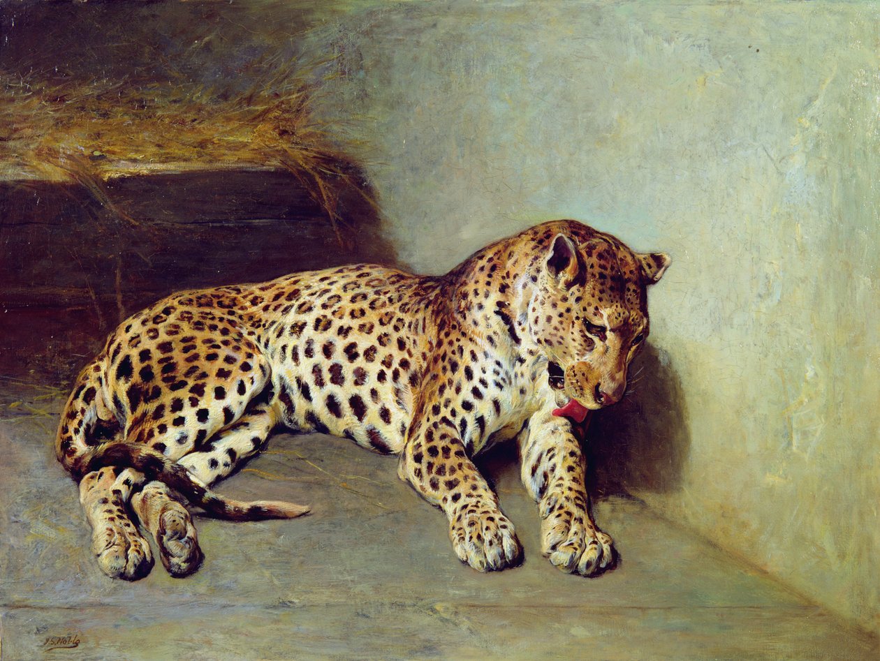 The Leopard by John Sargent Noble