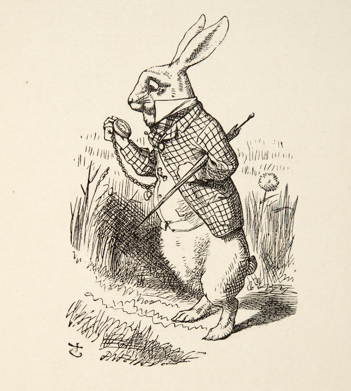 The White Rabbit, from Alice