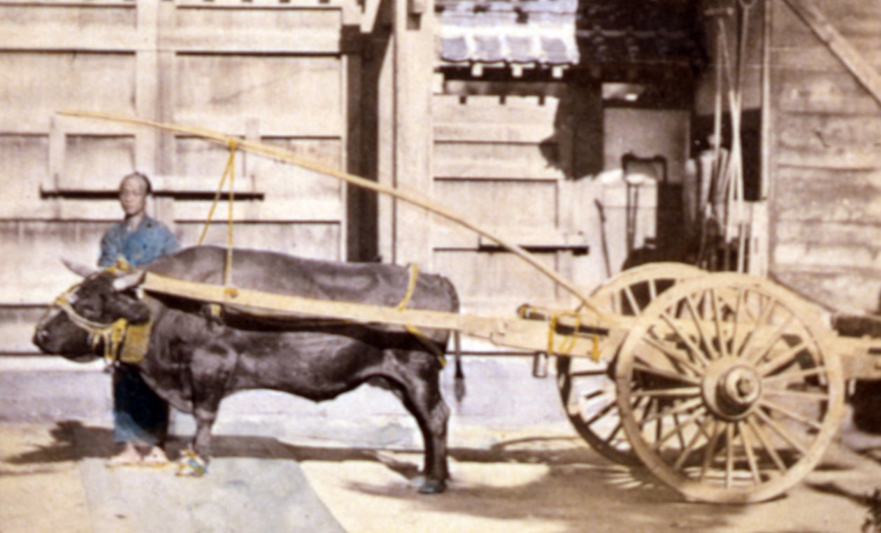 Chinese Man with a Wagon and Ox, 1890 by John Thomson