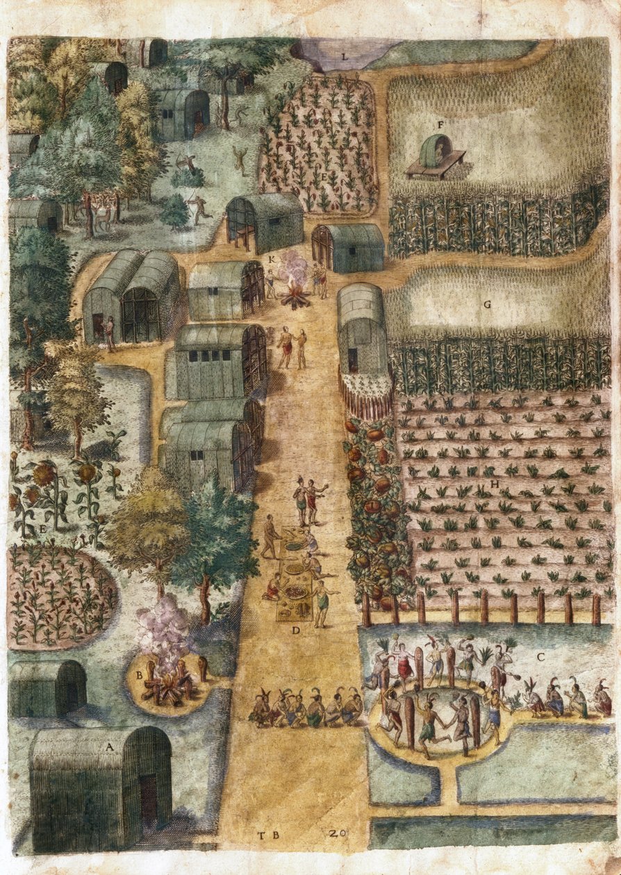 The Indian Village of Secoton by John White