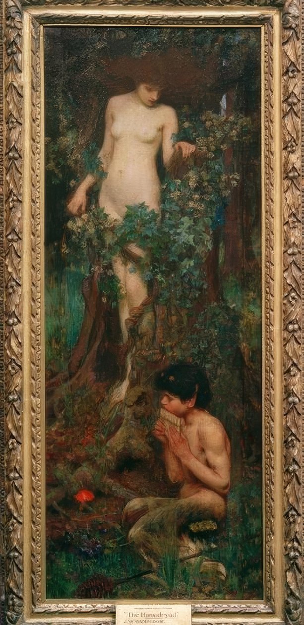 A Hamadryad by John William Waterhouse