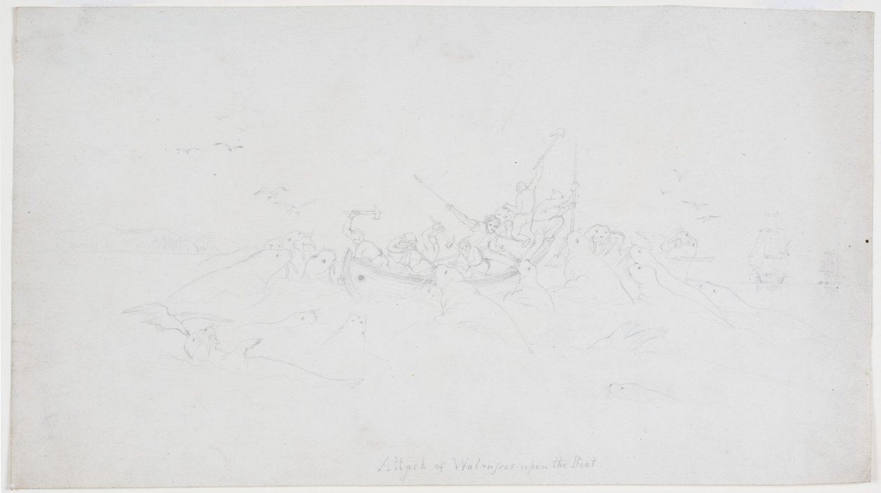 Attack of Walruses upon the Boat by John Wilson Carmichael
