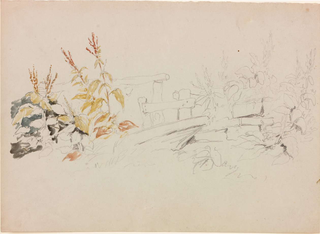 Nature Study by John Wilson Carmichael