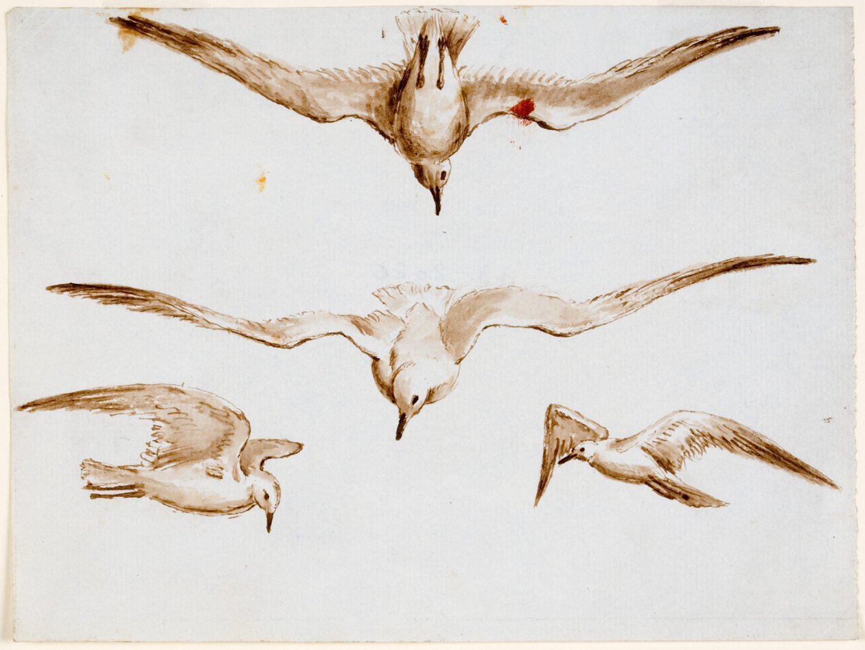 Seagulls by John Wilson Carmichael
