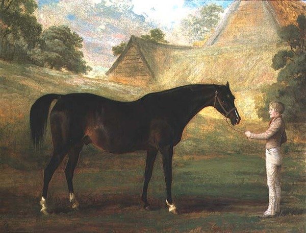 Foxglove, a Bay Thoroughbred by John (attr. to) Boultbee